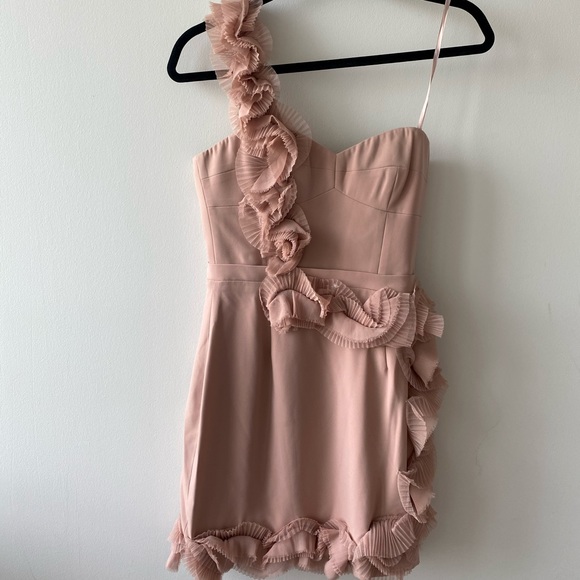 Beautiful nude BCBG dress tags on - Picture 1 of 6